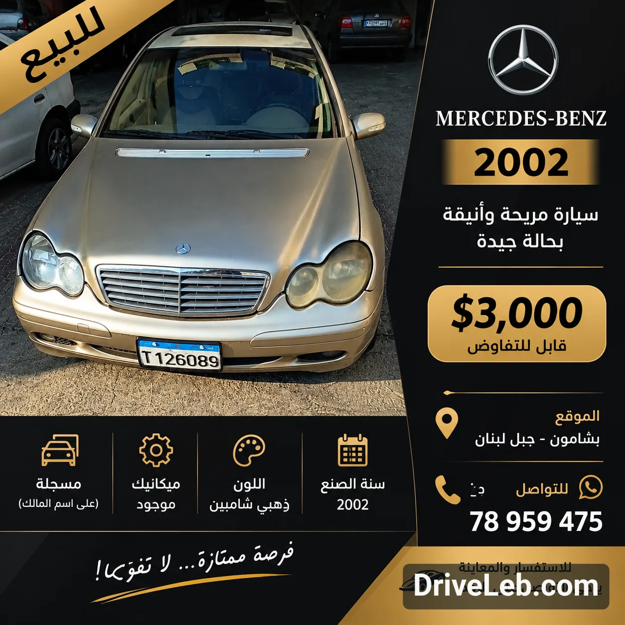 ميني 2002 — الصور 1